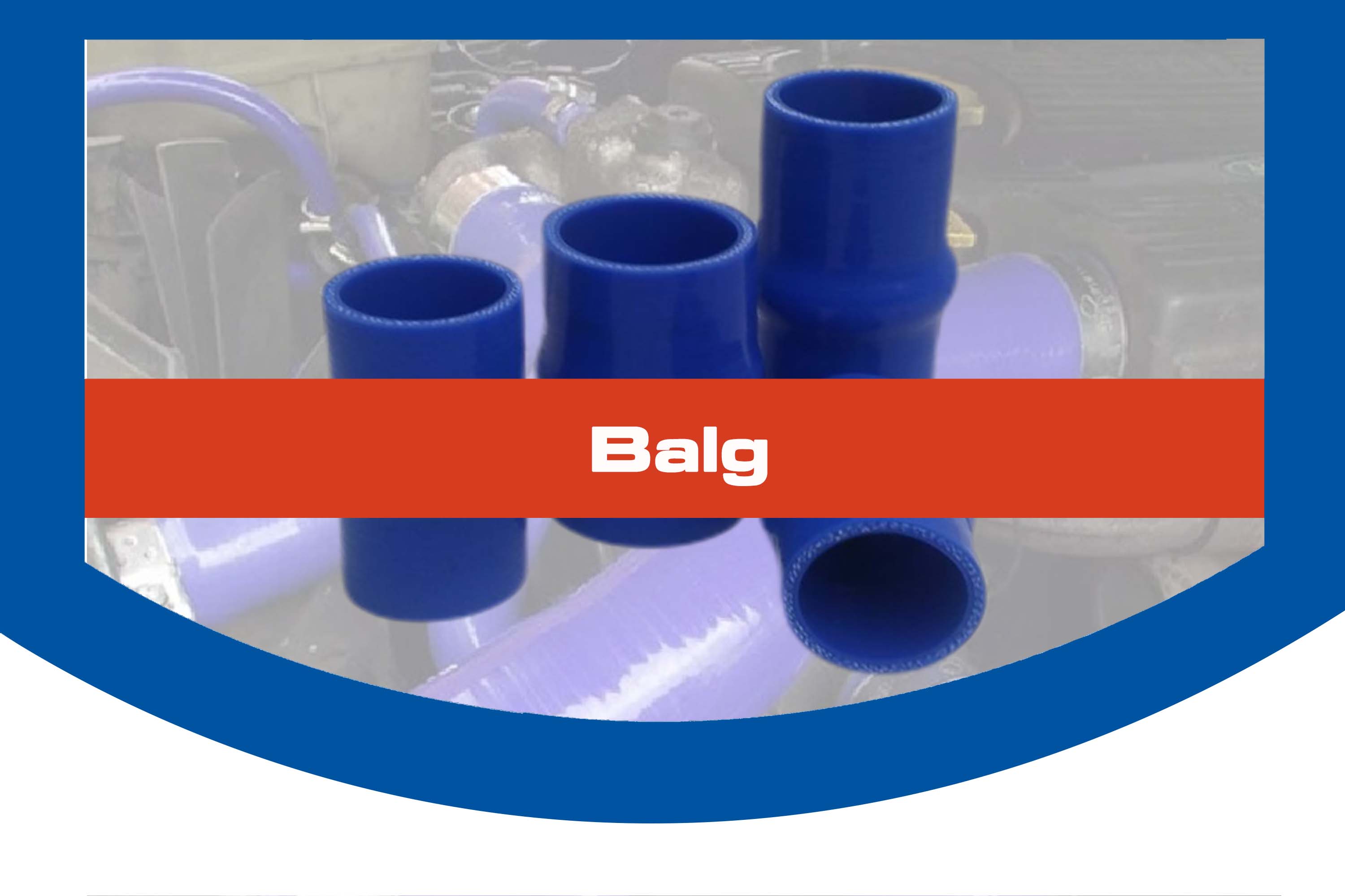 BALG